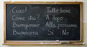 nyelvtanulás